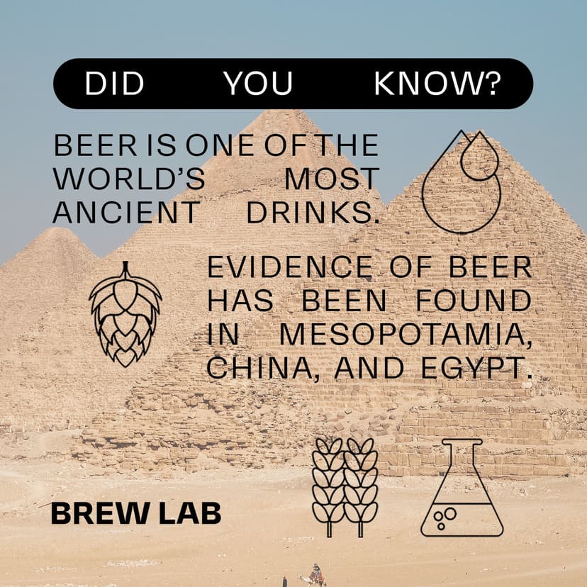 Ancient Beer Fun Fact