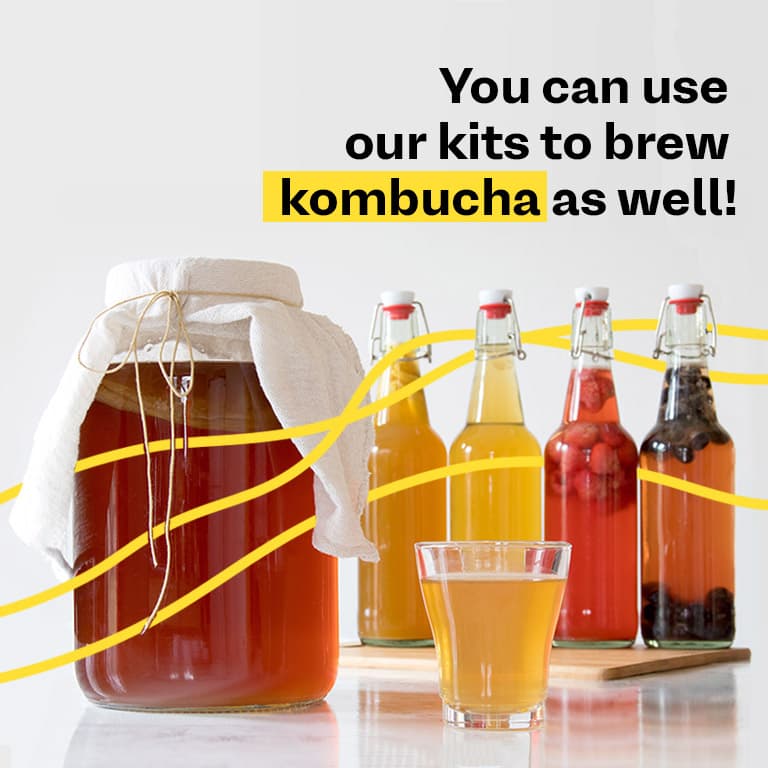 Kombucha Post